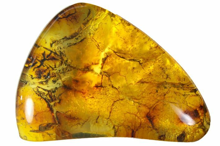 Polished Chiapas Amber ( g) - Mexico #114797